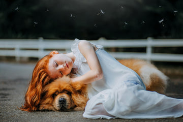 What Can I Give My Dog for Pain?