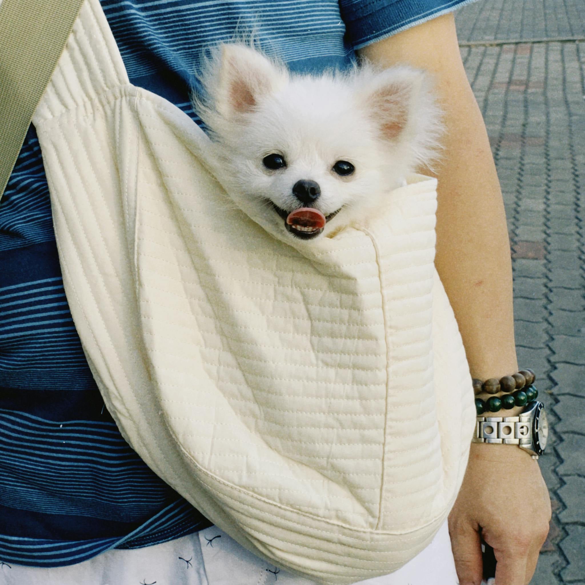 Why Dog Slings Are the Best Way to Carry Your Pup
