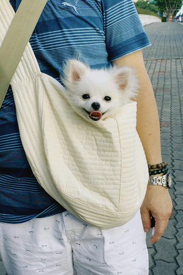 Why Dog Slings Are the Best Way to Carry Your Pup