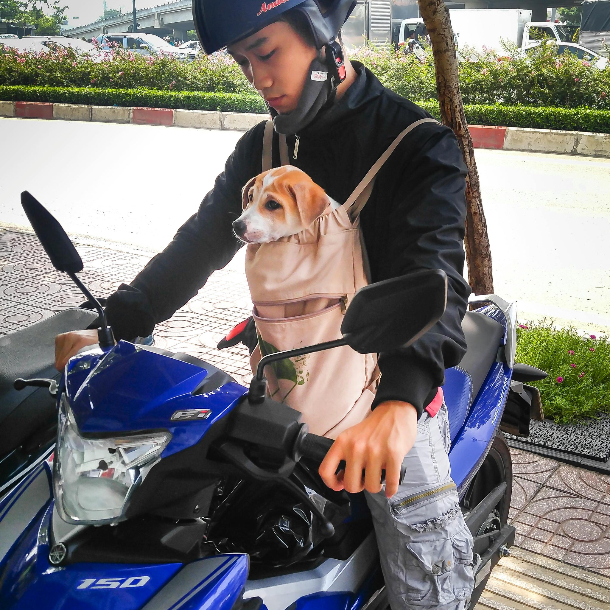 Best Dog Sling Bag Guide: Tips and Tricks 2025