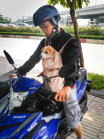 Best Dog Sling Bag Guide: Tips and Tricks 2025