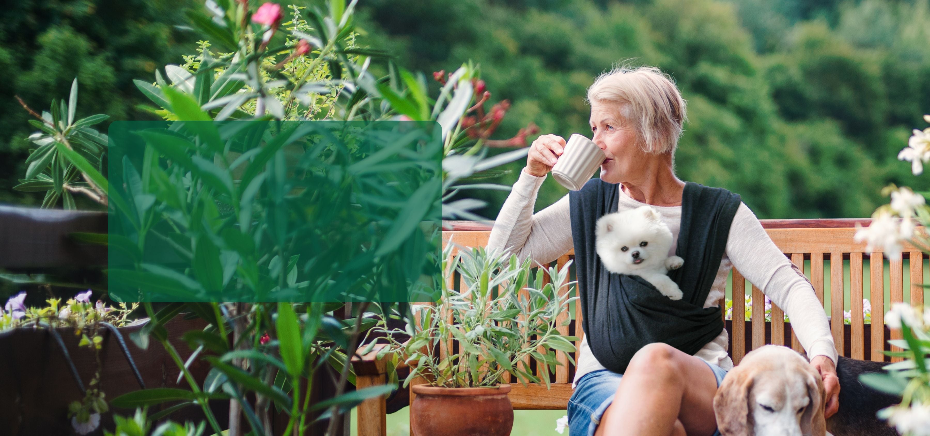 Adjustable Dog Carrier Sling - Best Dog Carrier